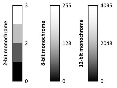 Microscopy Bit Depth 的图像结果