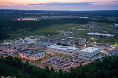 More radioactive wasp nests found at former US nuclear bomb site