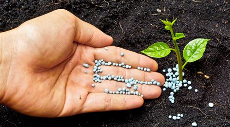 Smell Ammonia? Do Not Spray! Using Fertilizer in the Summer