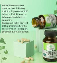 Liver Kidney Care Capsule for Liver – Organic India
