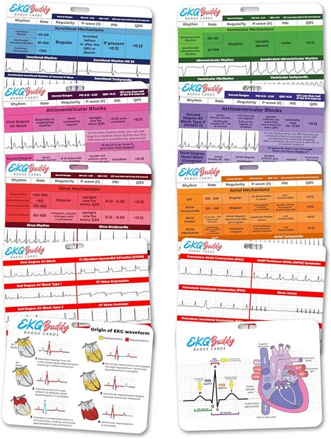 EKG Buddy's 5 Card EKG Interpretation Badge Set - Nepal | Ubuy