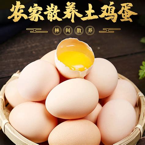 【柴鸡蛋】3_平生食记-站酷ZCOOL