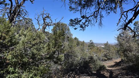 Arizona hike: Badger Mountain Trail on P Mountain in Prescott: Photos