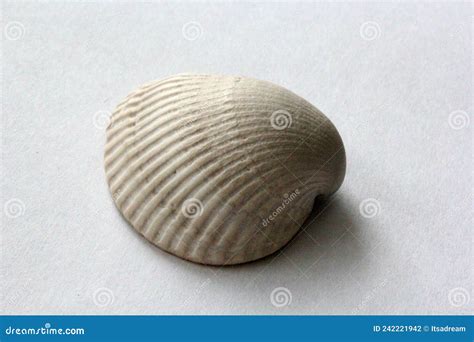 Image result for Linux Shell White Background