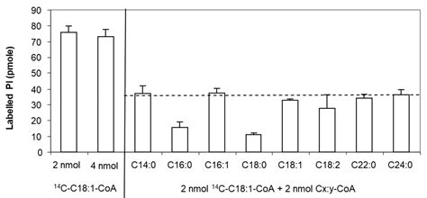 LPIAT, a lyso-Phosphatidylinositol Acyltransferase, Modulates Seed ...