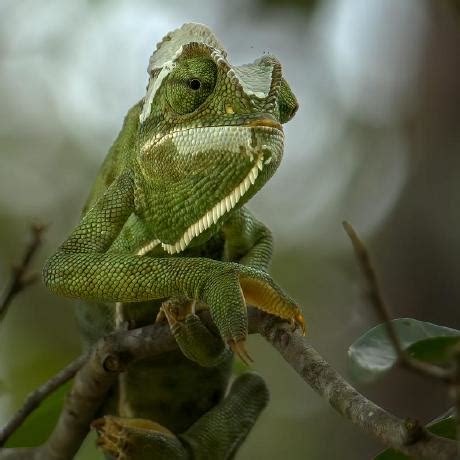 Image result for Duka Python Library