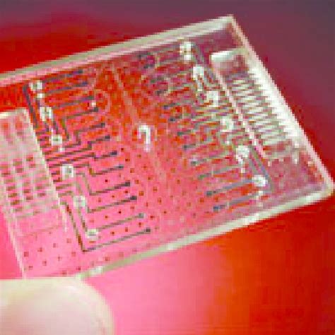 Microfluidic Chip 的图像结果