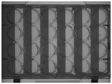 Comparing the Developmental Toxicity Delay and Neurotoxicity of ...