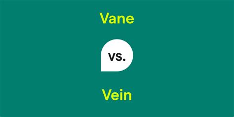 Vane vs. Vein: What's the Difference?