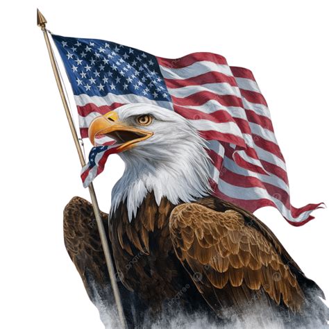 Bald Eagle Holding American Eagle