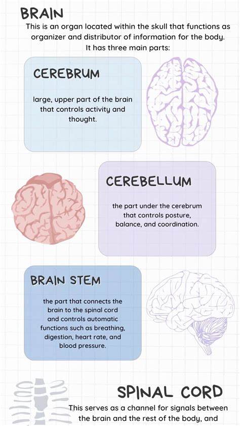 Image result for Science Terminology