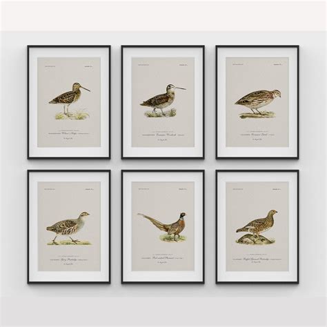 Gallery Wall & Sets: Buy Beautiful Art Set by Talented Artists India ...