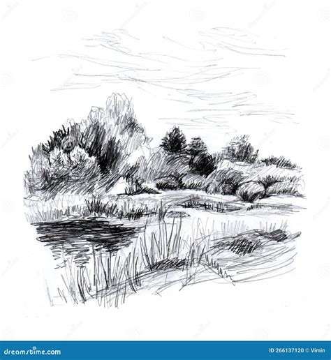 Graphic Depiction Line Icons Collection. Illustration, Sketching ...