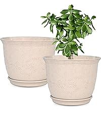Eha Set of 2 Earth-Friendly 10" Leafy Planters with Tray | Bamboo Fiber ...