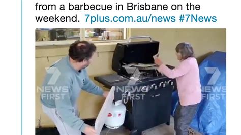 Image result for Python for Grill