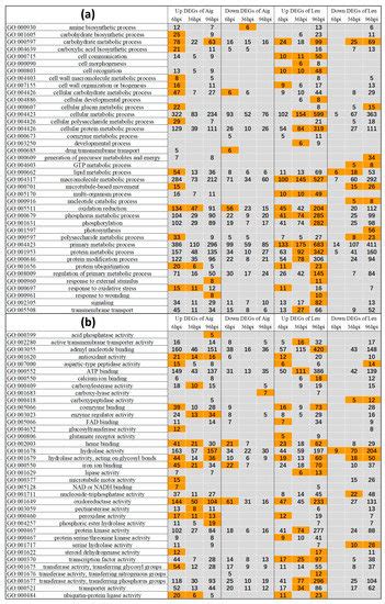 Genome-Wide Transcriptome Analysis Reveals the Comprehensive Response ...