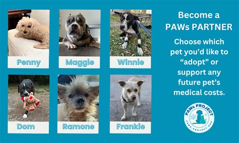 Image result for Paws Method Interview Questions