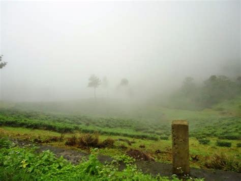 Mundakayam Ghat, Vagamon - Tripadvisor