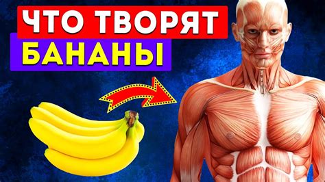 Банан: полезные свойства для организма человека и противопоказания ...