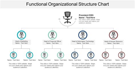 Image result for Functional Structure Org Chart