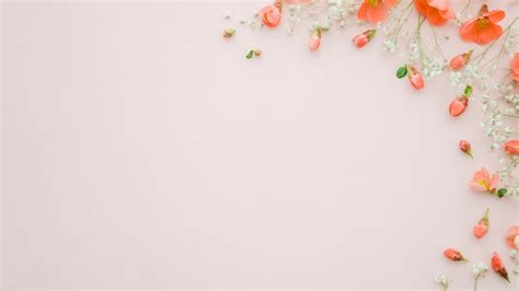Image result for How to Store Data in SQL Server Using Dot Net Maui