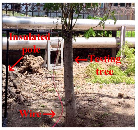Identification of Tree-Related High-Impedance Earth Faults Based on ...