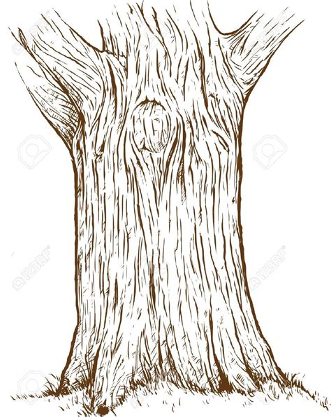 Image result for Tree Trunk Drawing