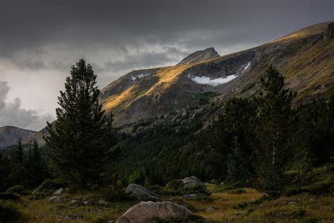 Spring Forest Bathing Walk - May 2025, Flagstaff Nature Center, Boulder ...