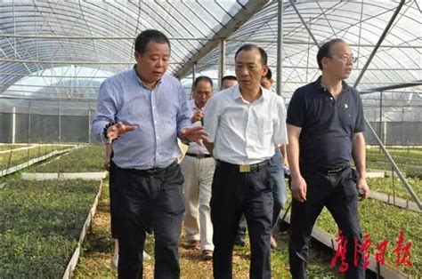 市长于秀明在余江调研时强调 牢固树立以人民为中心的发展思想 切实把经济发展好、乡村建设好、民生保障好