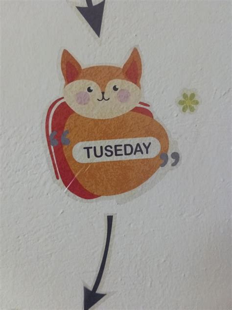 Byte Shop '7 Days of The Week - Cute - Animals - Baby - Kids - Learning ...