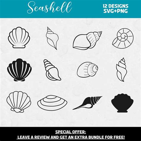 Image result for SeaShell SVG