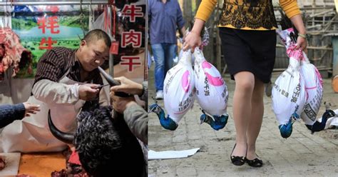 COVID-19: 11 Horrific Facts About ‘Fried Rat’ & ‘Bat Lollipop’-Selling ...