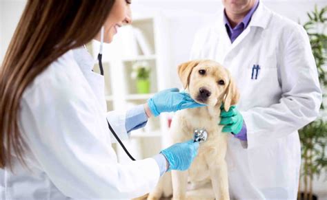 Image result for LogTag App