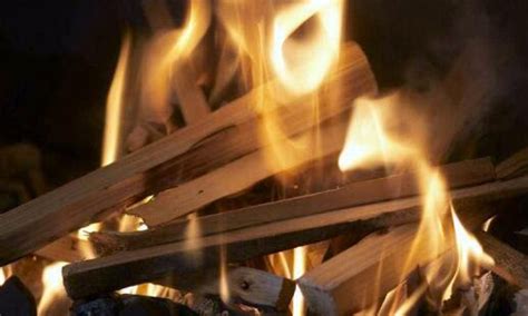 火灰色光记录woodpile的木头 库存照片. 图片 包括有 木柴, 资源, 令人愉快, 下来, 享用, 冷杉 - 44124470