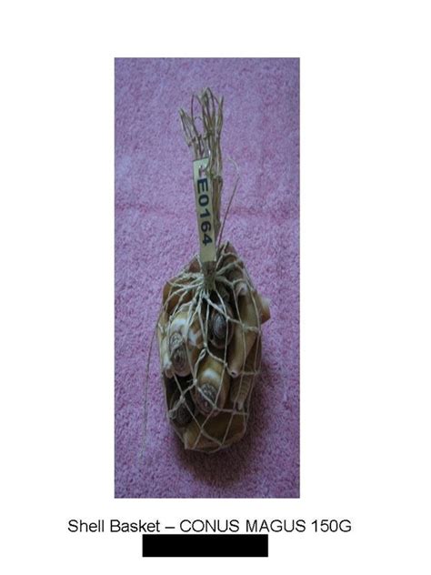 Image result for Shell Pack Download