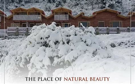 ROOFTOP COTTAGES (Pangot, Uttarakhand) - Guesthouse Reviews & Photos ...