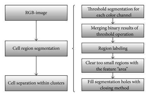 Image result for Cell Segmentation Methods