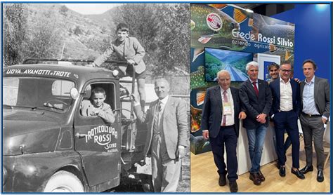 Regulation - EU - 2024/1689 - EN - EUR-Lex Aesthetic