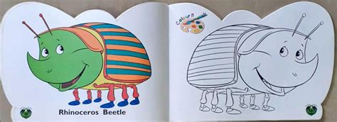 Bugs - Funky Copy Colouring – Books and You
