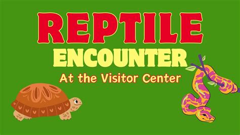 Reptile Encounter at the Visitor Center, 1788 Highway 356, Helen, GA ...