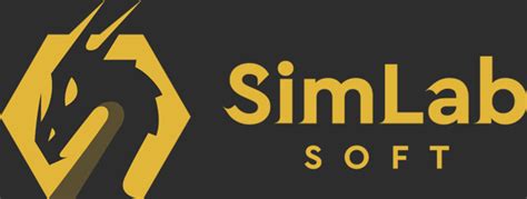 Image result for SimLab Tourisme