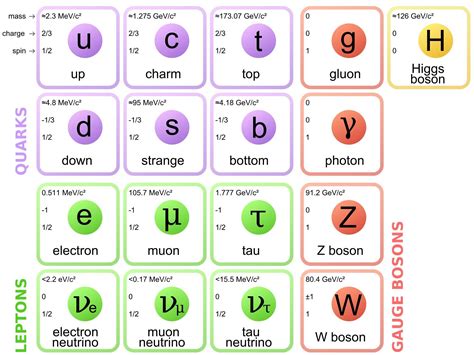 Image result for CERN Standard Model