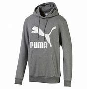 Image result for White Grey Puma Hoodie