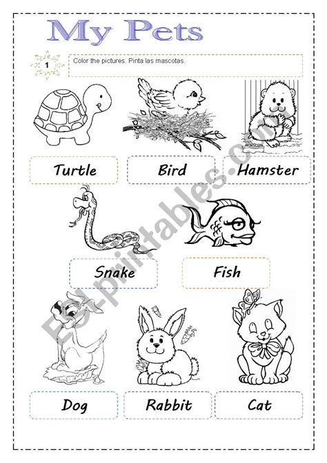 Pets Worksheet 的图像结果