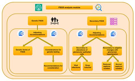 Automation and Decision Support in Nephrology: An Expert System Based ...