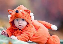 Image result for Cute Little Fluffy Baby Bunnies in Houston