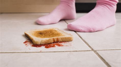 Experts Explain Whether The 5-Second Rule Really Works After Food Hits The Floor