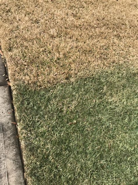 How To Make Grass Green Paint - How do you make the grass green in ...