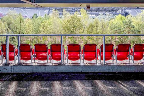 Sportsfield within Forest 的图像结果