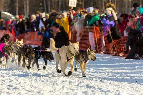 12 Interesting Festivals In Alaska: Rejoice Like The Alaskans